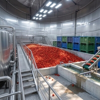 Fabrieksmachine voor het maken van geconcentreerde tomatenpuree (28% - 32%), tomatensaus en ketchup productielijn