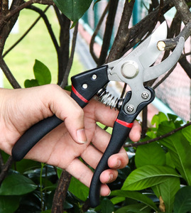 Forbici <span class=keywords><strong>da</strong></span> Potatura Professionali YTH Heavy Duty Bypass, Cesoie <span class=keywords><strong>da</strong></span> Giardino Salva-Lavoro per la Potatura degli Alberi - Product Image 6