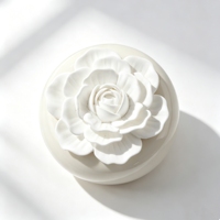 Diffuseur d'huiles essentielles en plâtre parfumé à la fleur, en porcelaine faite à la main, pour la maison, en bouteille céramique de 100 ml