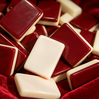 Jeu de Mahjong Américain Sans Soudure, Tuiles Acryliques Bicolores Effet Brise Océanique, Jeu de Société Minimaliste Fait Main pour le Divertissement