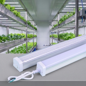 Flor de <span class=keywords><strong>uva</strong></span> Agricultura Fruta de fresa Se puede vincular en serie Flor Suculentas T12 Accesorio Full Spectrum Led Grow Light - Product Image 1
