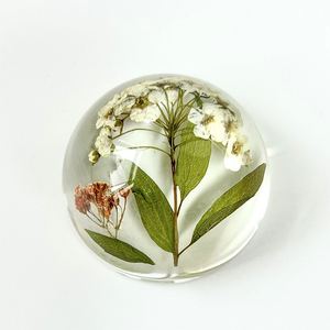 Custom Transparent Multicolor Resin Real Dried Flower Ornaments Paperweight Semicircle Resin Craft - Product Image 3