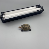 Kit d'éclairage pour reptiles et amphibiens NCZ Lizard Lamp T5 UVB/UVA+UVB, support en aluminium avec lumière du jour 6000K, garantie 1 an