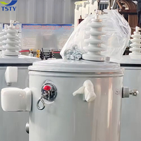 Transformadores monofásicos TSTY 25 Kva 50kva 75kva Transformador elevador montado en poste