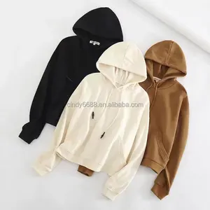 2024 Spring Korean New Sweater Women's Letter Embroidery Loose Casual Versatile Trendy Thin Hoodie