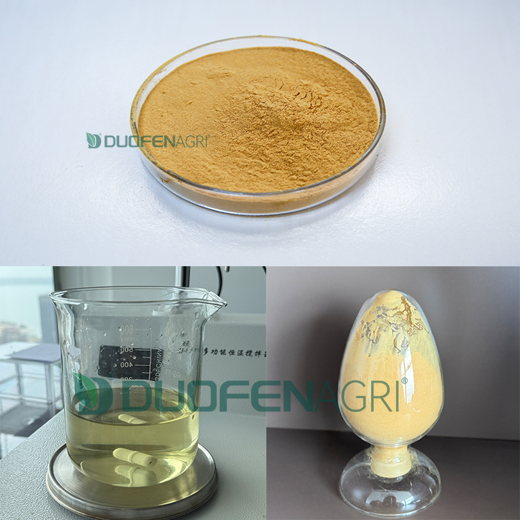 Wholesale Seaweed Biostimulant Powder Fertilizer Manufacturer image 6