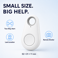Llavero Inteligente con Rastreador, Material de PC, Antipérdida, Control por Aplicación, Localizador para Teléfono, Llaves, Equipaje, Mascotas, iOS/Android