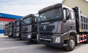 Promotion Camion <span class=keywords><strong>Benne</strong></span> Shacman d'<span class=keywords><strong>Occasion</strong></span> 6x4 10 Roues, <span class=keywords><strong>Petit</strong></span> Camion Basculant - Product Image 3