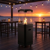 Cheminée à gaz extérieure commerciale autoportante avec 4 côtés en verre, sur roues, chauffage à flamme réelle pour jardin, patio, restaurant, bar