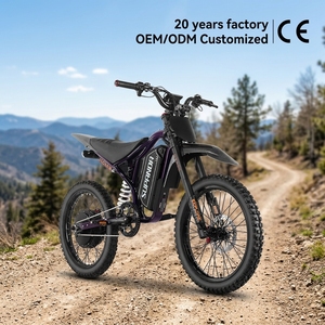 Hot Selling Dirt Mountain Bike with 60V 3000W Full Shock Absorption All Terrain off Road for Adults - Product Image 1