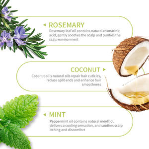 Shampooing Personnalisé Bio Végétalien au Romarin et à la Menthe Poivrée OEM Marque Privée Soin Clarifiant du Cuir Chevelu Liquide Favorisant la Croissance des Cheveux Fabricant - Product Image 5