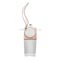 2 transducteurs ultrasoniques LIDIT en acier inoxydable pour exfoliation esthétique, 23,5-28 kHz, longue durée de vie, pour applications médicales et de soins de santé, à assembler
