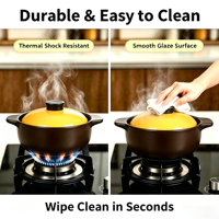 Olla de Cocina de 5.5L, Apta para Estufas sin Inducción, con Tapa de Cerámica, Resistente a Altas Temperaturas, Compatible con Estufas de Gas, Ecológica, Estilo Chino