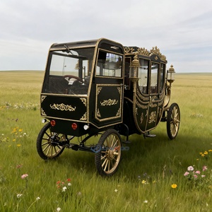 Carruaje Real Negro Antiguo en Venta, Carruaje de Transporte Especial Personalizado, Carruaje con Cabina Cerrada Eléctrica - Product Image 1