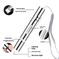 Jouet laser pour chat en acier inoxydable moderne et classique, rechargeable par USB, respectueux de l'environnement, avec projection multi-motifs, stylo pointeur interactif
