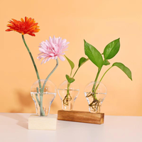 Décoration de bureau à domicile, mini-plant de séparation d'air, station de propagation en terrarium, vase en verre pour bulbes hydroponiques, support en bois