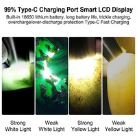 Lampe torche industrielle UV, détecteur de lumière noire pour l'analyse forensique, détection de faux billets, inspection de passeports et d'identités par fluorescence, IP65, acier inoxydable