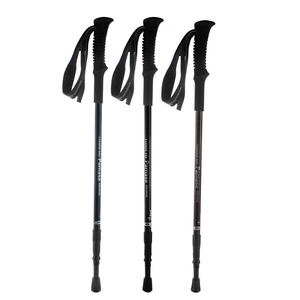 Bastones de Trekking Parmas de Fibra de Carbono, 3 Secciones, Ligeros, para Senderismo y Caminatas - Product Image 1