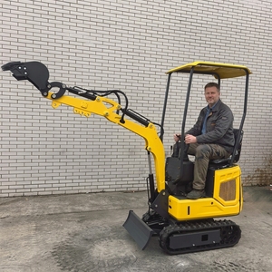 Mini-excavatrice chinoise de 0,8 tonne - pour travaux agricoles avec moteur Kubota, certifiée CE EPA EURO 5 - Product Image 1