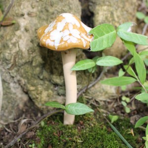 4pcs <span class=keywords><strong>Poterie</strong></span> Céramique Champignon Statue Réaliste Multicolore Miniature Champignons arbre pour la décoration de jardin intérieur et extérieur - Product Image 4