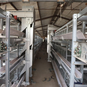 Baterí<span class=keywords><strong>a</strong></span> de alta eficiencia para criar pollos, jaula de malla duradera, equipo de crí<span class=keywords><strong>a</strong></span> de aves de corral para granja de pollos de capa agrícola - Product Image 6