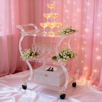 Carrito de Servicio de Acrílico para Fiestas al Aire Libre, Cumpleaños, Hoteles, Barbacoas y Catering, con Ruedas para Almacenamiento Portátil, Directo de Fábrica