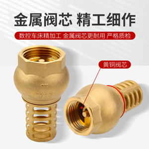 Válvula de Retención de Latón Huihong de 1 Pulgada con Filtro de Entrada de Resorte Antirretorno para Bomba de Agua, Uso a Temperatura Normal - Product Image 3