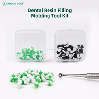 Kit d'outils de moulage pour composites dentaires à polymérisation rapide, instrument de sculpture antiadhésif pour blanchiment et restauration dentaire Harbor Dent