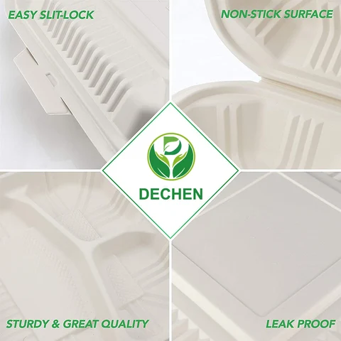 China Meal Prep Containers Supplier Food Container 500Ml 6 Compartment Compostable