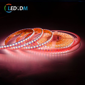Led Strip ánh sáng RGB CCT RGB + WW + WH Dimmer chip 3838 + 2835 SMD băng 12V 24V không thấm nước IP68 3838 Flex LED Strip - Product Image 6