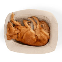 Meilleures ventes - Lit pour chien et chat en mousse à mémoire de forme orthopédique personnalisé avec housse amovible, design élégant et solide, taille XL