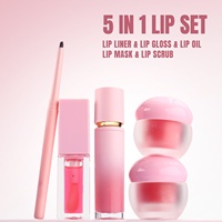 Kit de Masques et Gommage Lèvres Hydratants, Huile Fruitée pour Lèvres, Brillant, Vente en Gros, Marque Privée, Crayon Contour, Rouge à Lèvres Liquide