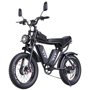 Custom Mtb E Bike Manufacturers Q20Pro 20 Inch 52V 40AH Fat Tire EBike Dual Motor Mountain Dirt Q20 Custom Ebike Bike F - Product Image 1