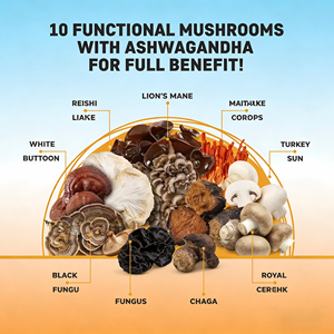 Capsule di Funghi Biologici Criniera di Leone, Integratore Nootropico Adattogeno Jiannuo, Supporto Immunitario Vegano per Adulti, Gestione dell'Energia - Product Image 2