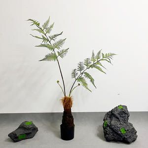 Etalage Varengras Decoratie Groene Planten Zachte Decoratie Landschap Simulatie Gouden Apenkop Varens Potplant - Product Image 6