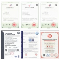 Machine de fabrication de contenants en aluminium entièrement automatique LK-T80 certifiée CE SGS ISO9001 avec 15 ans d'expérience à l'exportation