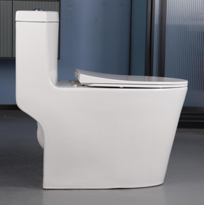 Inodoro de una pieza de diseño moderno al por mayor de fábrica <span class=keywords><strong>Bolina</strong></span>, certificado CUPC americano, artículos sanitarios estándar - Product Image 3