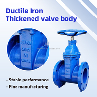 Vanne à opercule en fonte ductile QT450 à siège élastique PN16 avec joint EPDM, tige en acier inoxydable et revêtement époxy pour eau potable, conforme à la norme BS5163