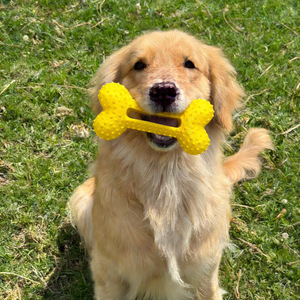 Giocattoli Interattivi a Forma di Osso per Cani con Impugnatura in Gomma - Giochi Resistenti per Tiro alla Fune per Cani di Tutte le Taglie, Allevia la Noia e Favorisce l'Addestramento - Product Image 4