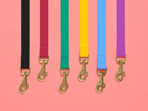 สายรัดอกสุนัขกันน้ำและกันน้ำกระเซ็น พร้อมคลิปหน้า/หลังและหัวเข็มขัดสีทอง - ของขวัญสำหรับสัตว์เลี้ยง - Product Image 5