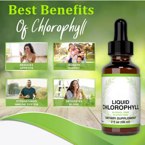 OEM قطرات سائلة من الكلوروفيل العضوي بالجملة مصنع معتمد للعناية بالجسم للتنظيف الداخلي - Product Image 5