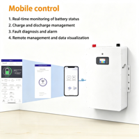 Batterie de stockage d'énergie solaire domestique murale OEM CE 51.2V 100Ah 200Ah LiFePO4, pack de batteries lithium-ion 6000 cycles hors réseau