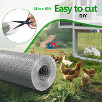 Cage à poules en fil de fer galvanisé, grillage de clôture, maille de 1/4 de pouce, 12x12, grillage soudé, utilisation en construction