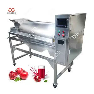 Gelgoog 2 Ton Pomegranate Seed Peeling Washing Machine Pomegranate Peeler Farm Pomegranate Peeling Machine Int