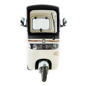 Robust 60V Utility E-Trike with Extended <strong>Open</strong>-Back <strong>Space</strong> for Enhanced Efficiency - Product Image 6