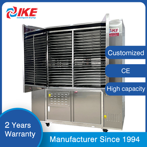 WRH-300GB Trái Cây Và Rau Quả Khô Máy Cá Dứa Bơ Dehydrator Giá Máy - Product Image 2