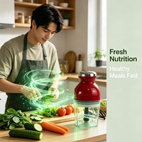 Mini hachoir électrique multifonctionnel pour aliments pour bébés, desserts, fruits, légumes, viande, hachoir de cuisine domestique