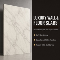 Dalle de pierre frittée Camu White Time Glaze avec veinage gris pour comptoir, mur, sol, projet d'intérieur commercial