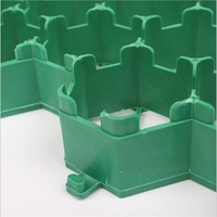 Gazon en plastique HDPE noir, pavé pour stationnement