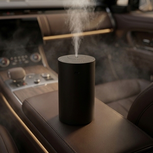 Difusor de Aroma de Oro sin Agua Eléctrico, <span class=keywords><strong>Ambientador</strong></span> de Aire <span class=keywords><strong>para</strong></span> Coche, Essentials Room Oil, Maison - Product Image 2